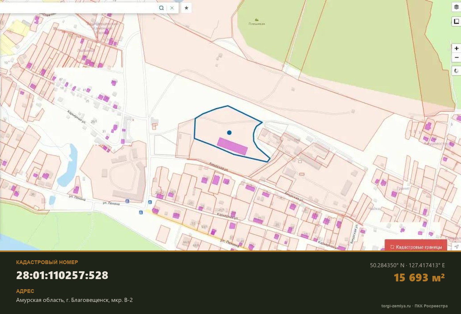 Контур земельного участка 28:01:110257:528 на кадастровой карте Росреестра