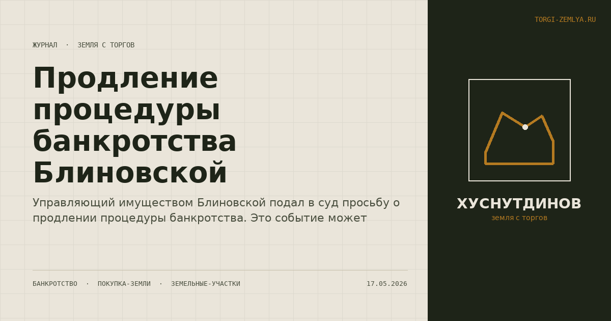 Продление процедуры банкротства Блиновской