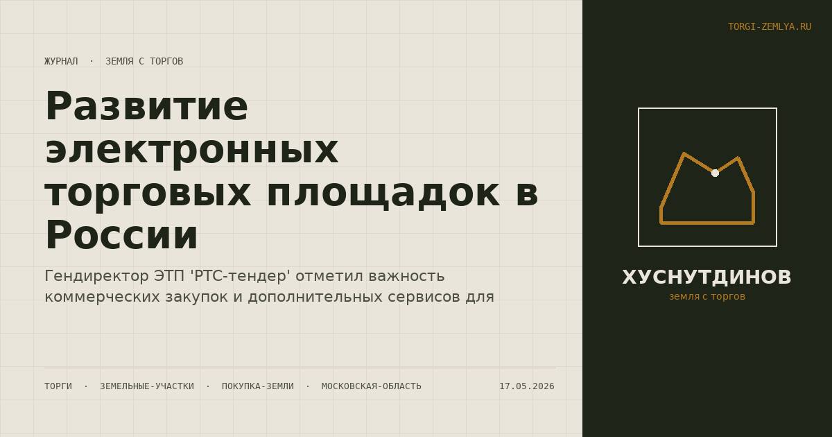 Развитие электронных торговых площадок в России