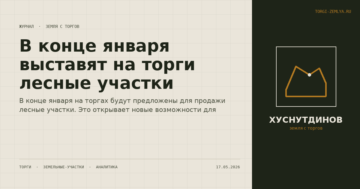 В конце января выставят на торги лесные участки